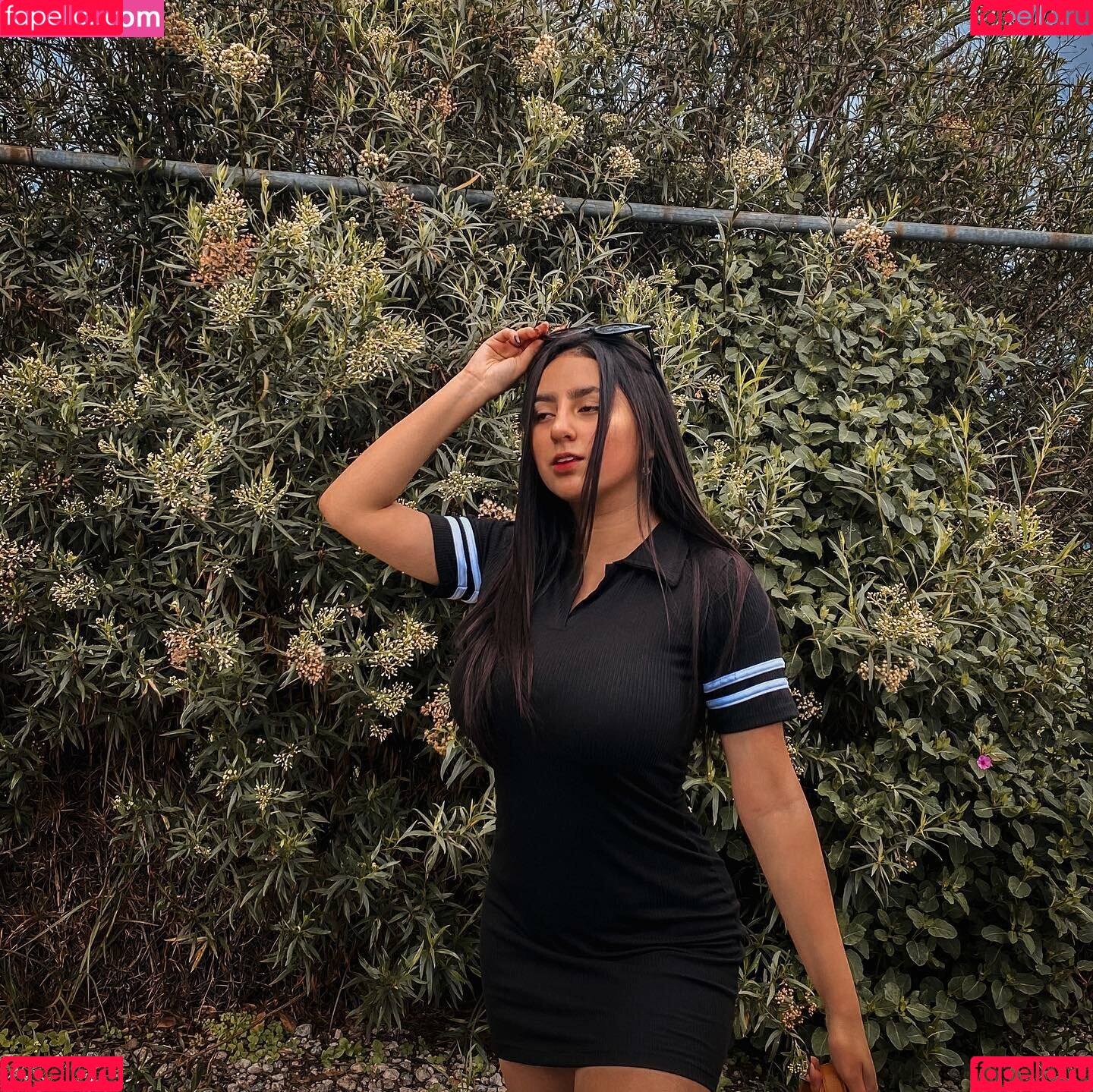 Danahe Vasquez Onlyfans Photo Gallery 