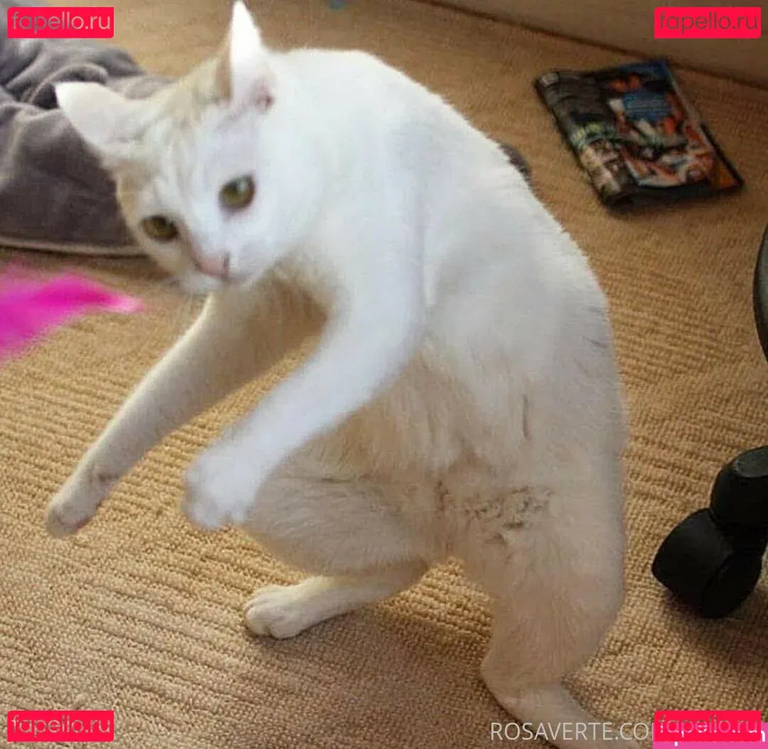 Rosa Verte Onlyfans Photo Gallery 