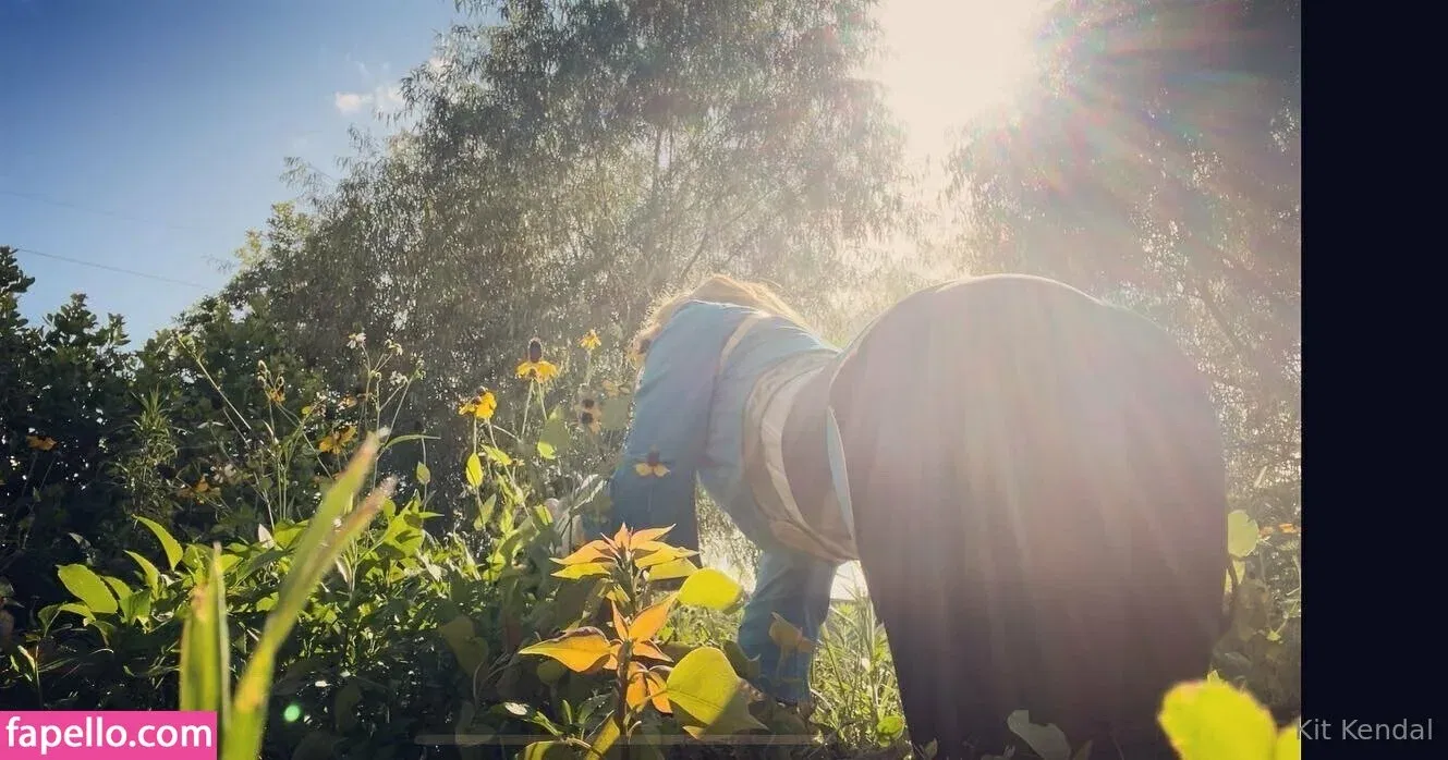 kitkendalx Onlyfans Photo Gallery 