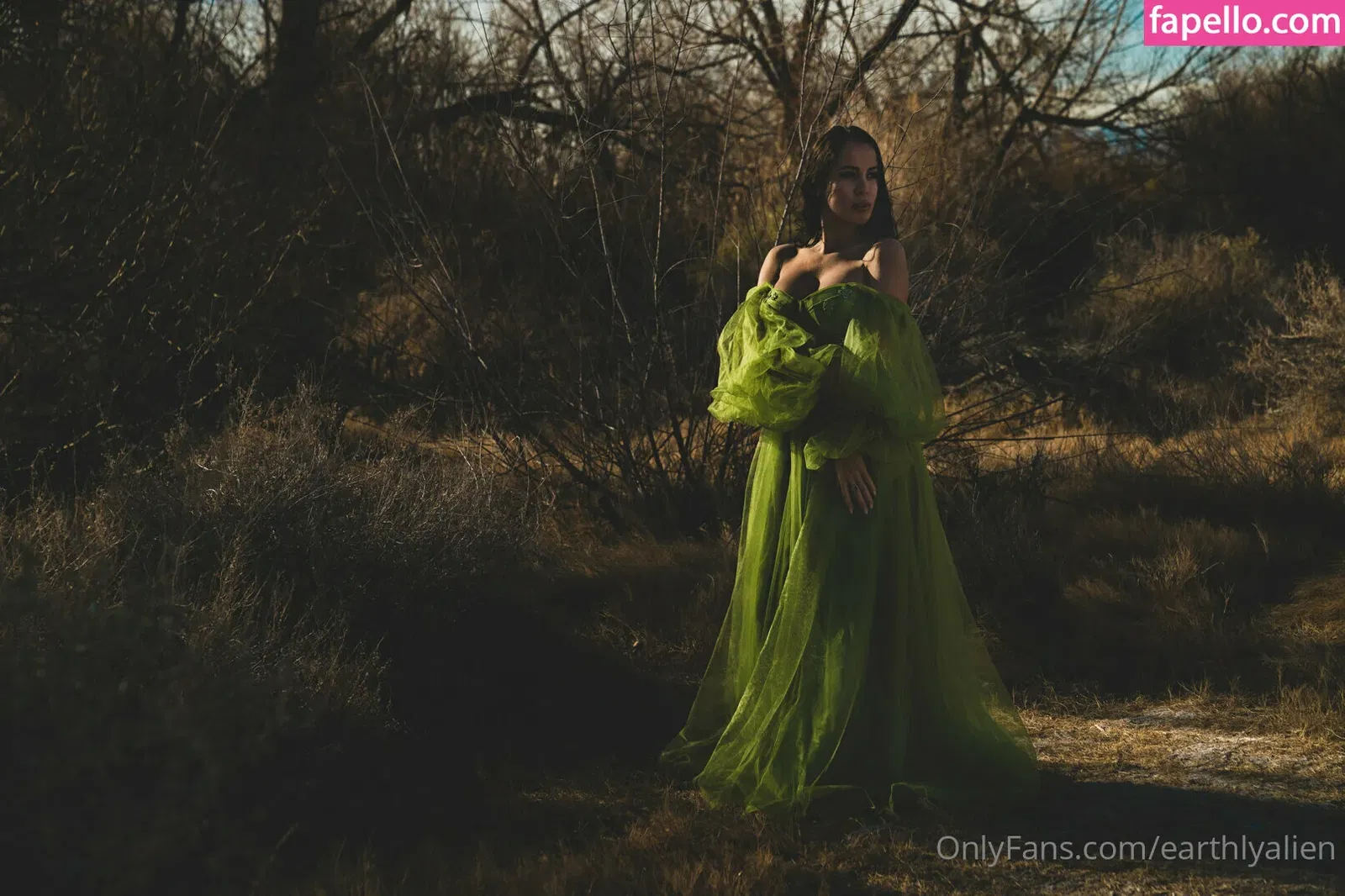 earthlyalien Onlyfans Photo Gallery 