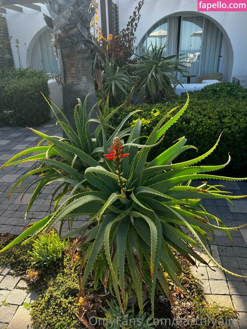 earthlyalien Onlyfans Photo Gallery 