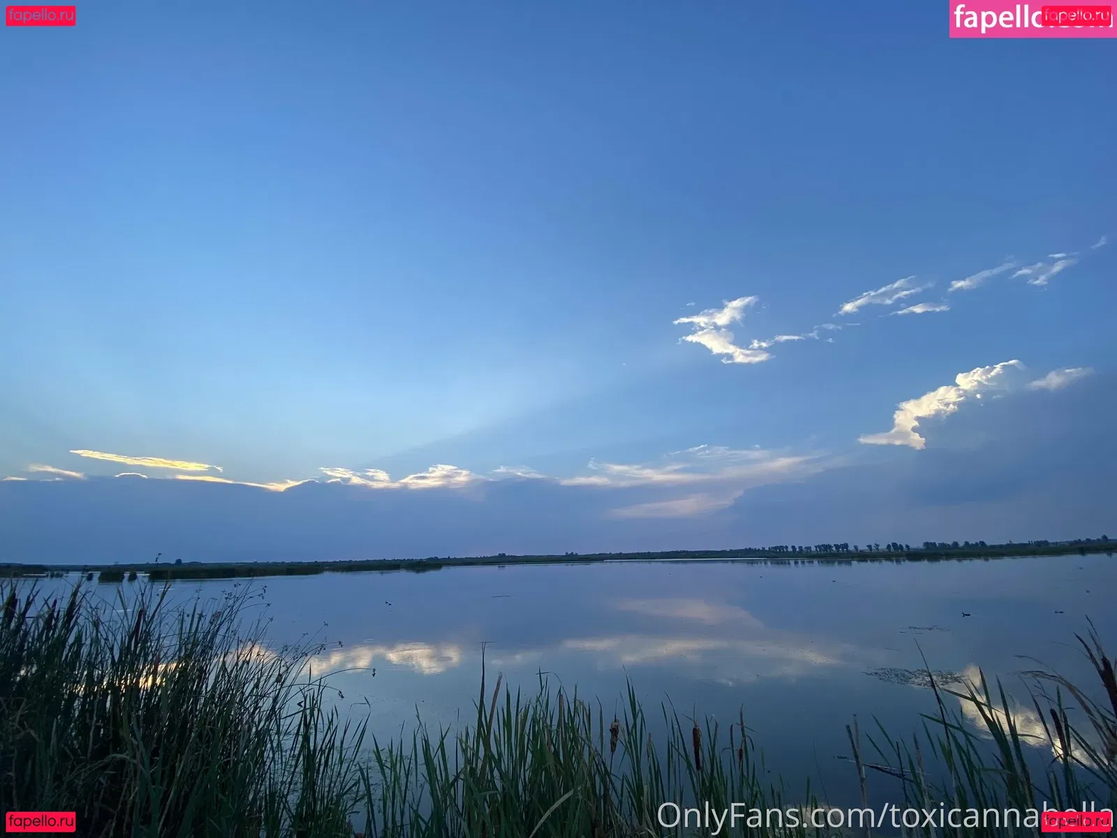 toxicannabella Onlyfans Photo Gallery 