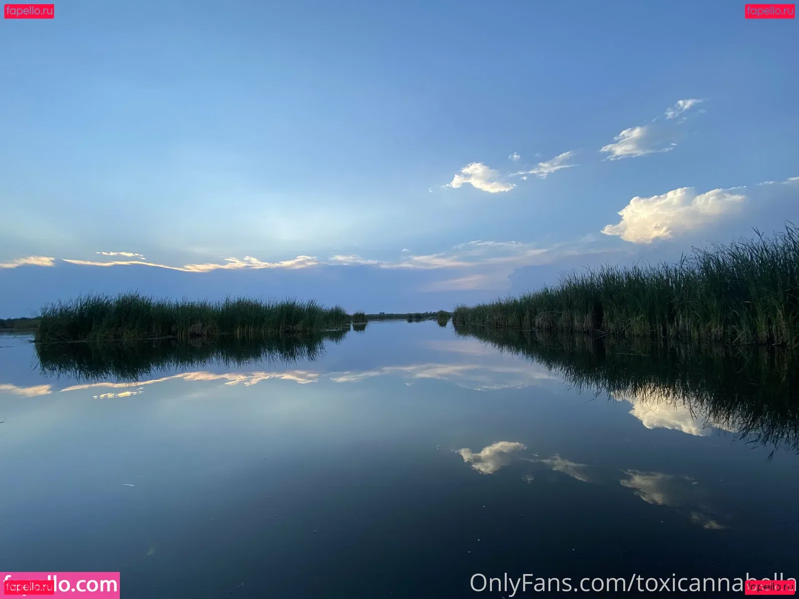 toxicannabella Onlyfans Photo Gallery 