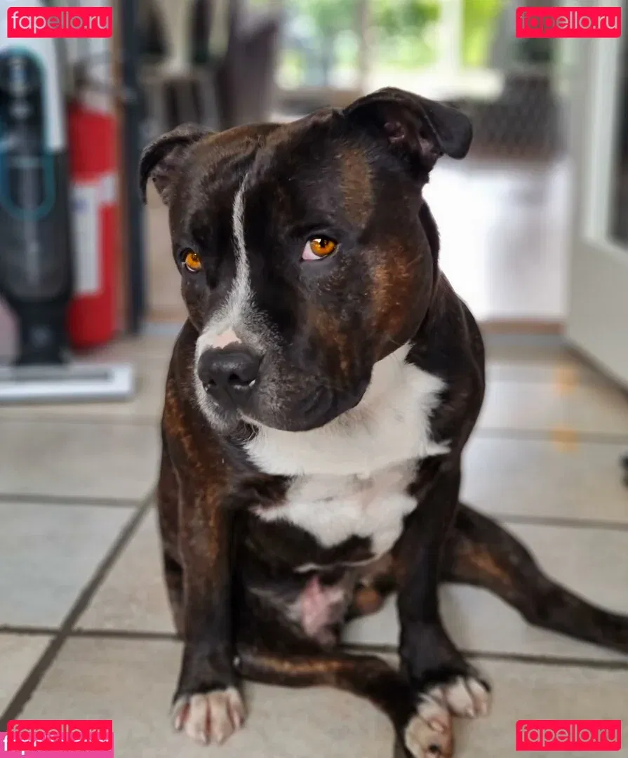 Christina Goldielocks Onlyfans Photo Gallery 