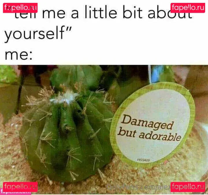 alexiwildexxx Onlyfans Photo Gallery 