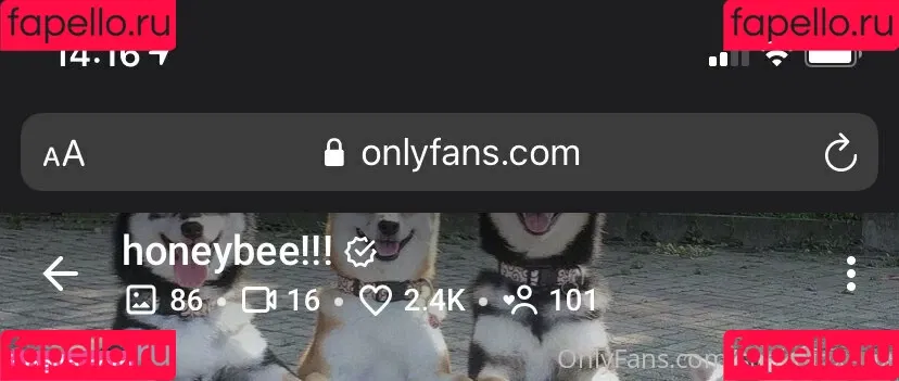snakefoxbox Onlyfans Photo Gallery 