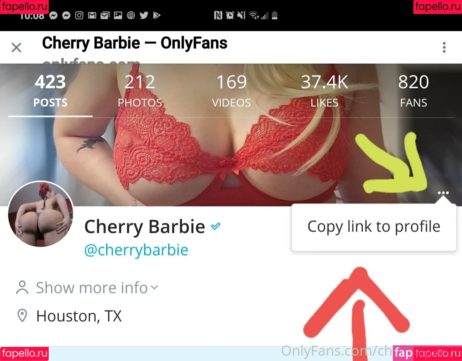 cherrybarbievip Onlyfans Photo Gallery 