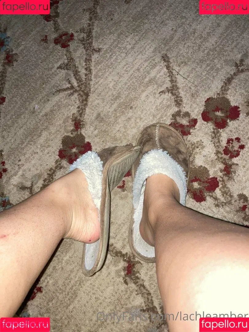 lachleamber Onlyfans Photo Gallery 