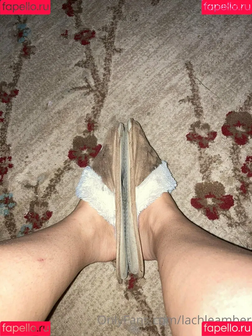 lachleamber Onlyfans Photo Gallery 