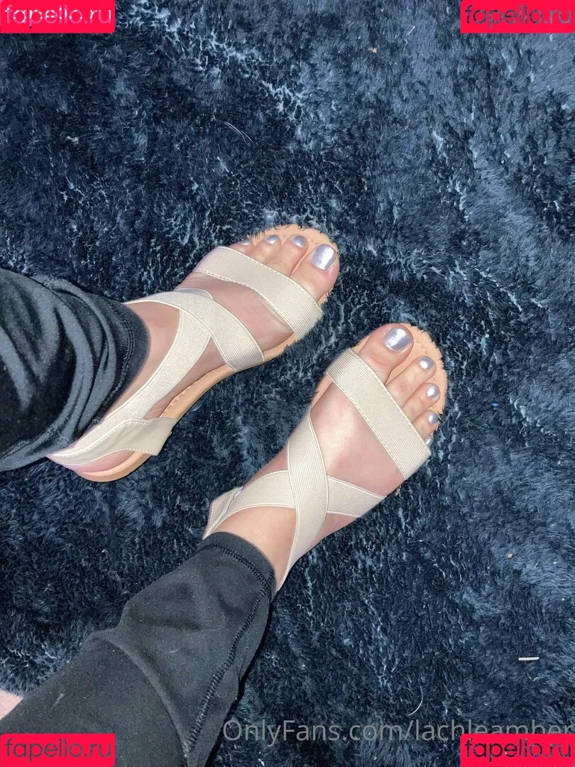 lachleamber Onlyfans Photo Gallery 
