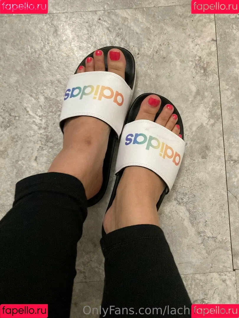 lachleamber Onlyfans Photo Gallery 
