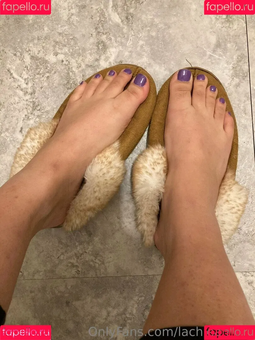 lachleamber Onlyfans Photo Gallery 