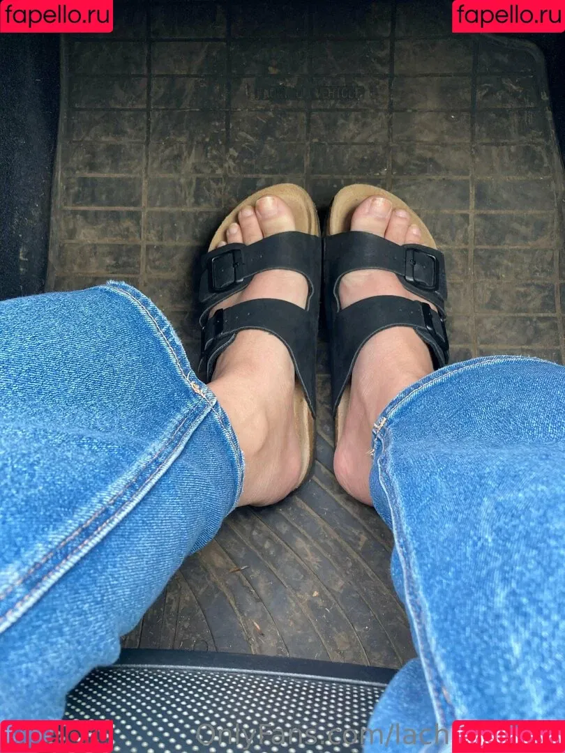 lachleamber Onlyfans Photo Gallery 