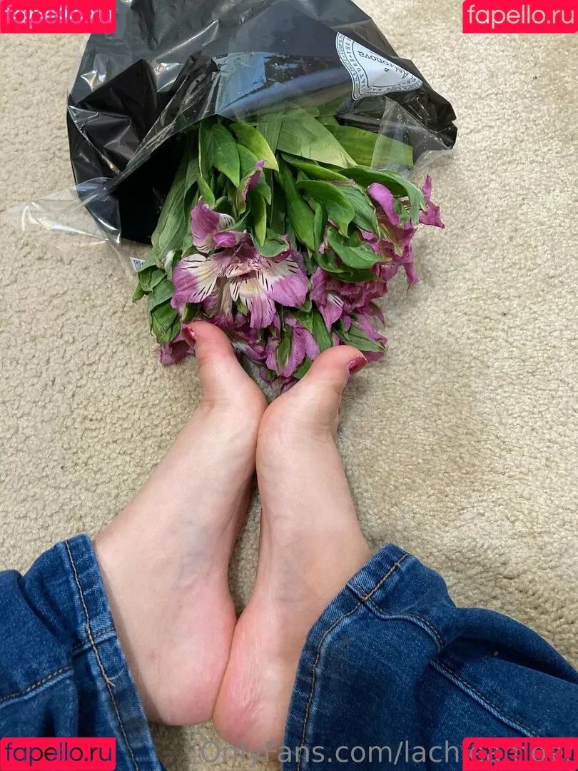 lachleamber Onlyfans Photo Gallery 