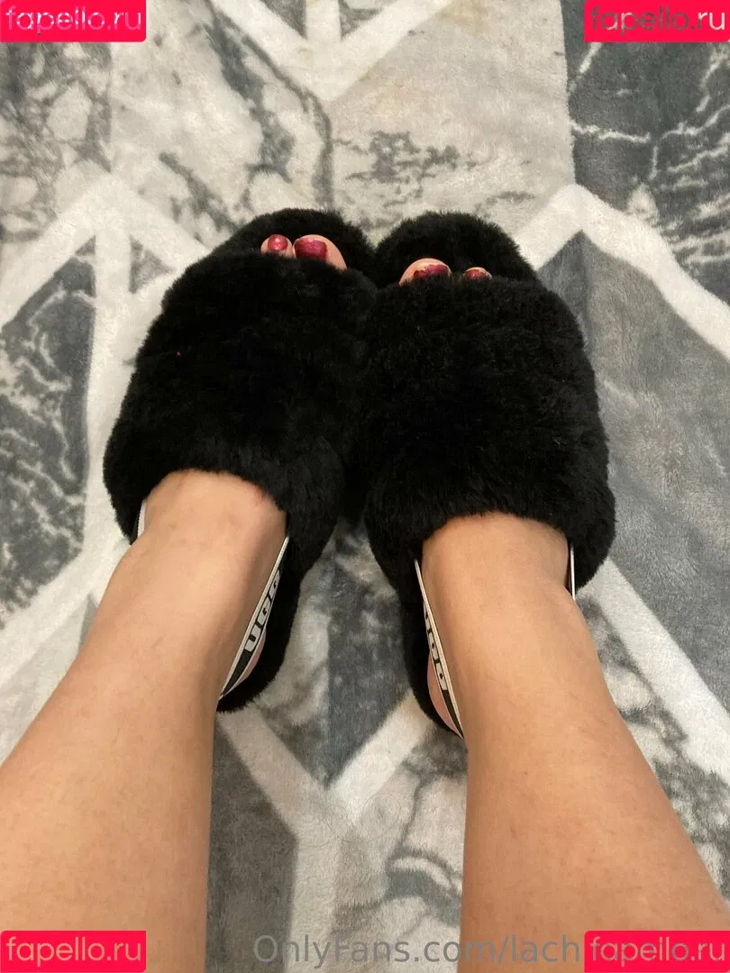 lachleamber Onlyfans Photo Gallery 