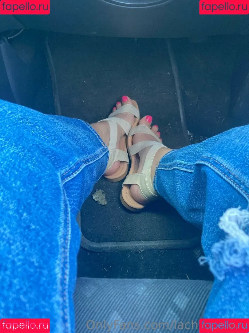 lachleamber Onlyfans Photo Gallery 