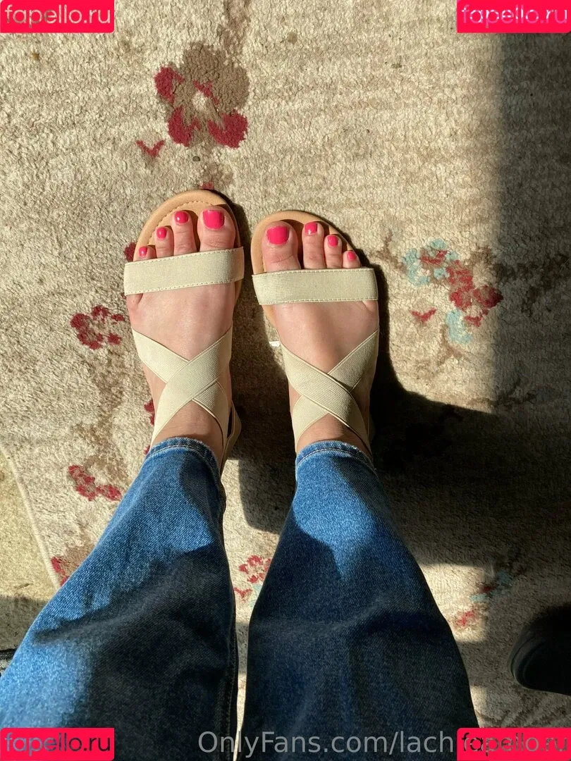 lachleamber Onlyfans Photo Gallery 
