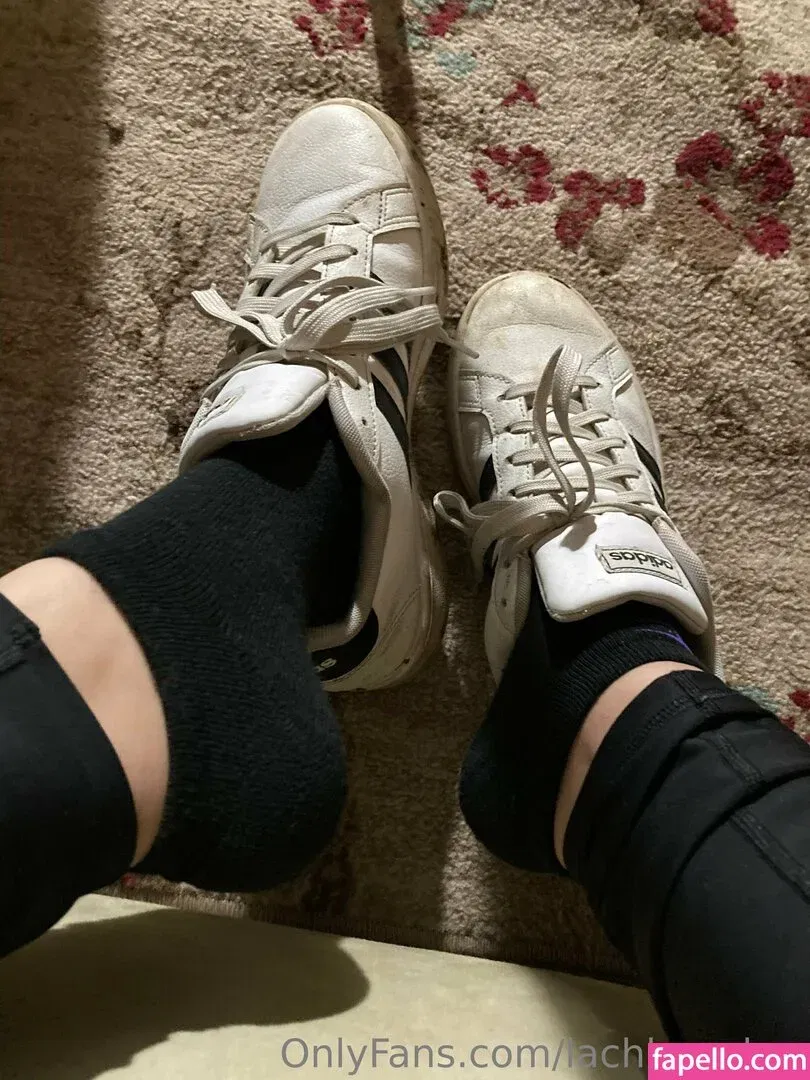 lachleamber Onlyfans Photo Gallery 