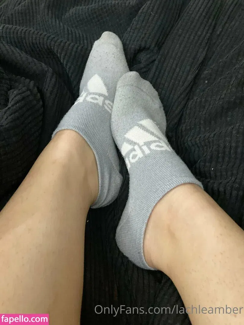 lachleamber Onlyfans Photo Gallery 