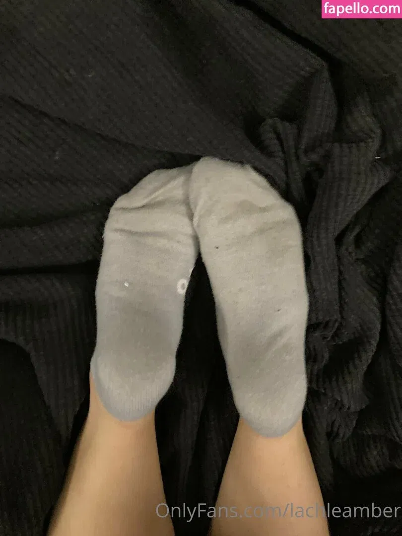 lachleamber Onlyfans Photo Gallery 