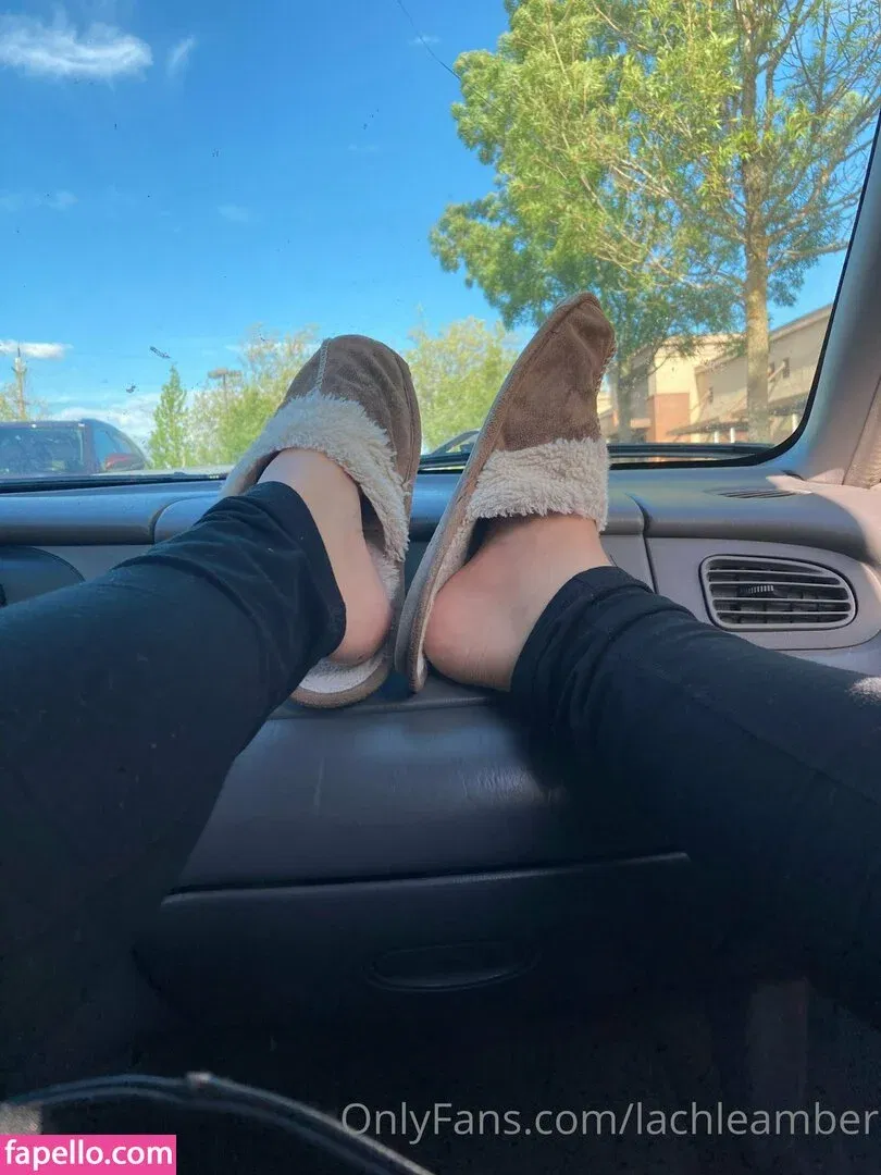 lachleamber Onlyfans Photo Gallery 