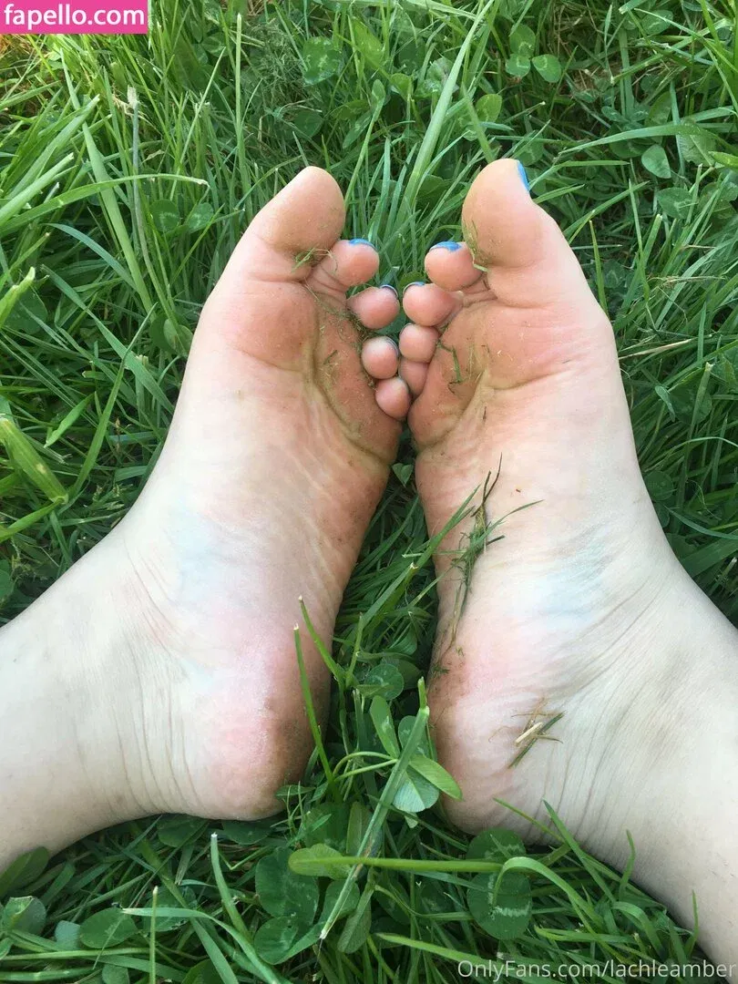 lachleamber Onlyfans Photo Gallery 