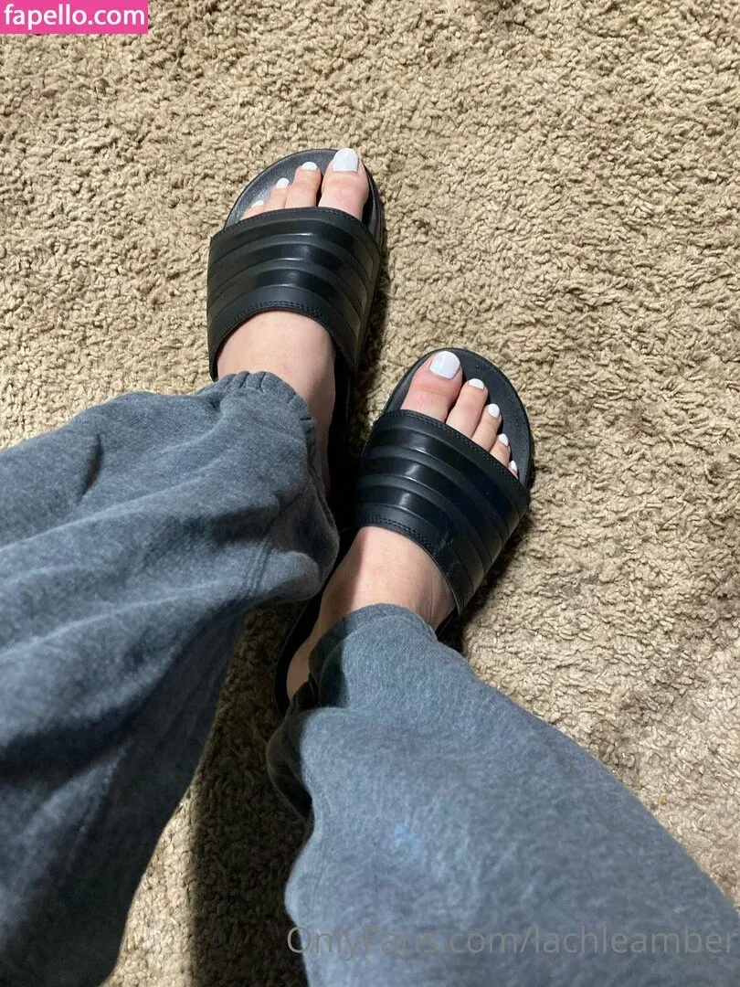 lachleamber Onlyfans Photo Gallery 