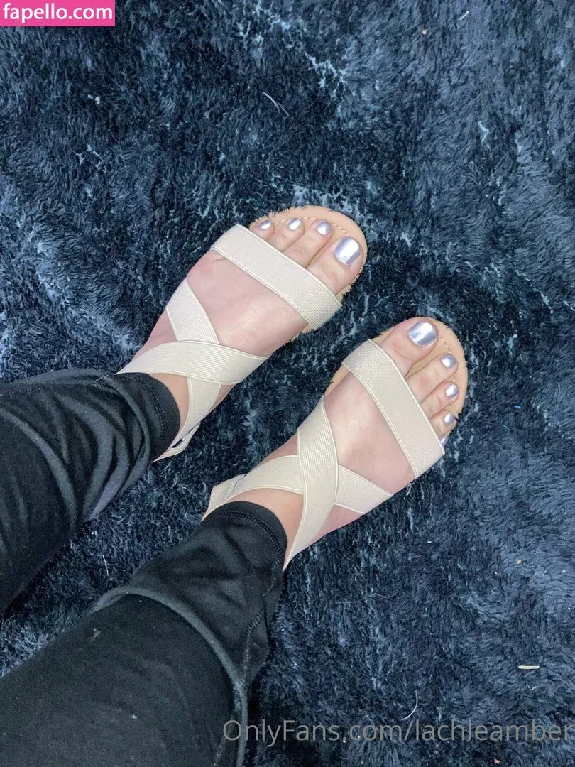 lachleamber Onlyfans Photo Gallery 