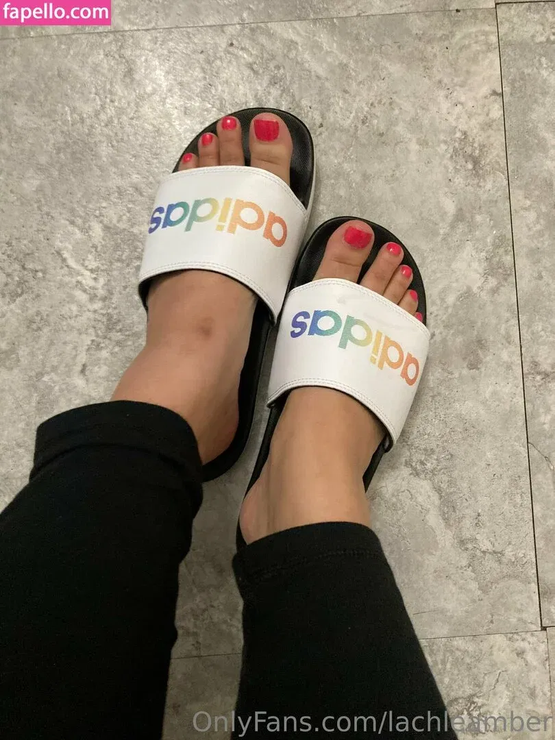 lachleamber Onlyfans Photo Gallery 