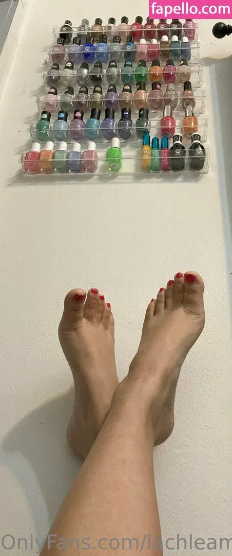 lachleamber Onlyfans Photo Gallery 