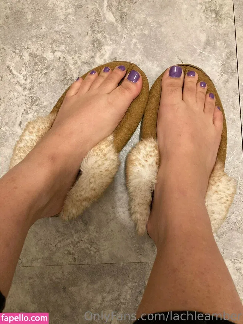 lachleamber Onlyfans Photo Gallery 