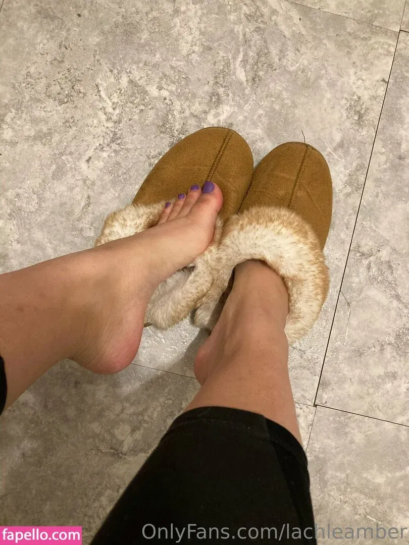 lachleamber Onlyfans Photo Gallery 