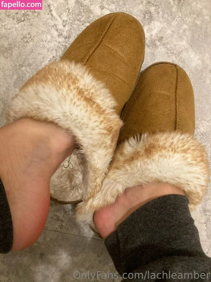 lachleamber Onlyfans Photo Gallery 