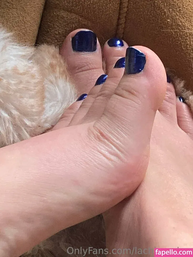 lachleamber Onlyfans Photo Gallery 