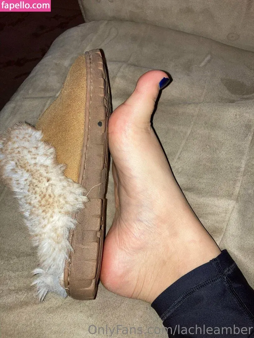 lachleamber Onlyfans Photo Gallery 