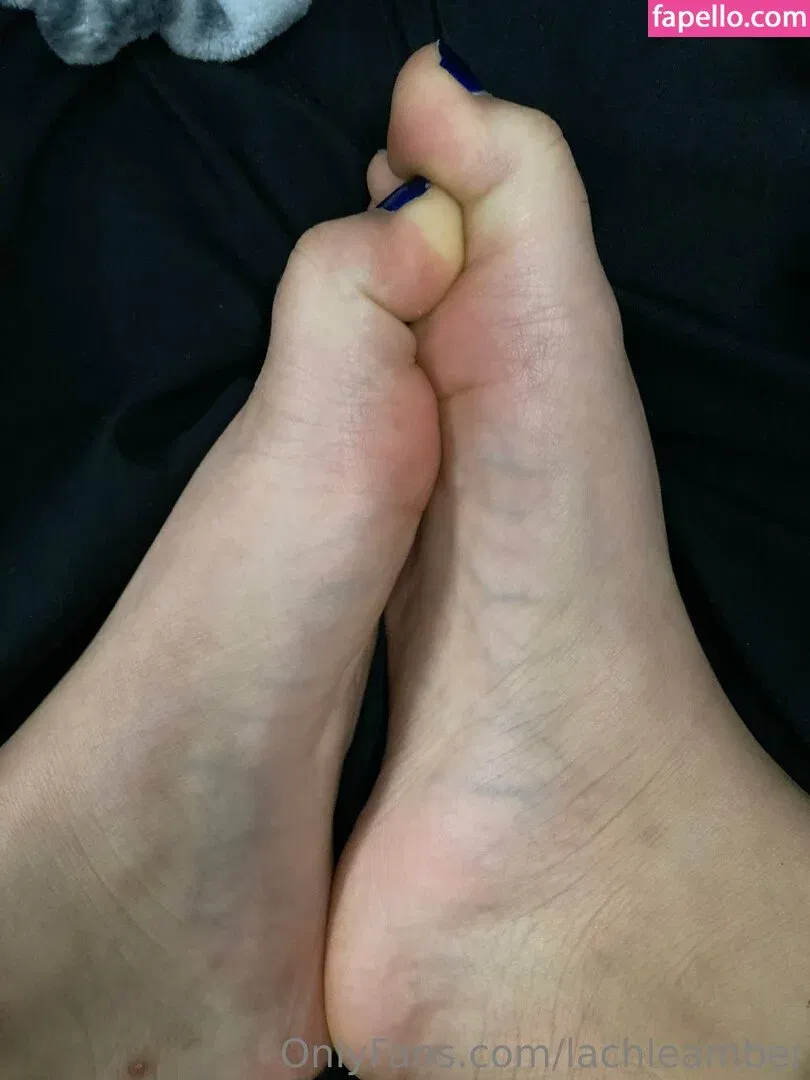 lachleamber Onlyfans Photo Gallery 