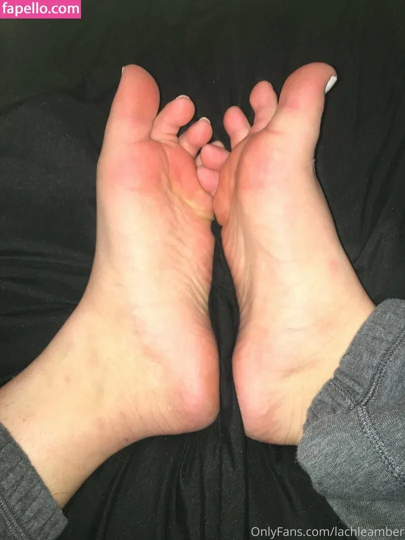 lachleamber Onlyfans Photo Gallery 