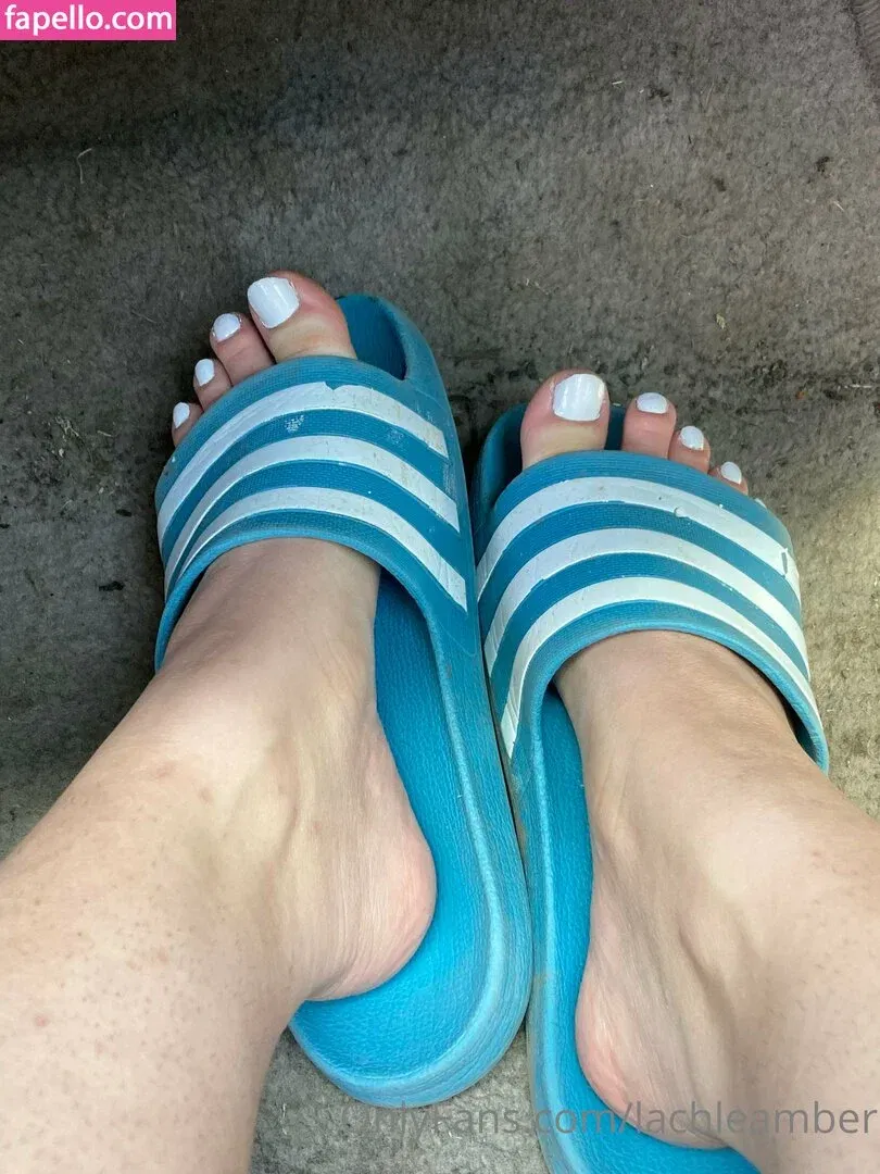 lachleamber Onlyfans Photo Gallery 