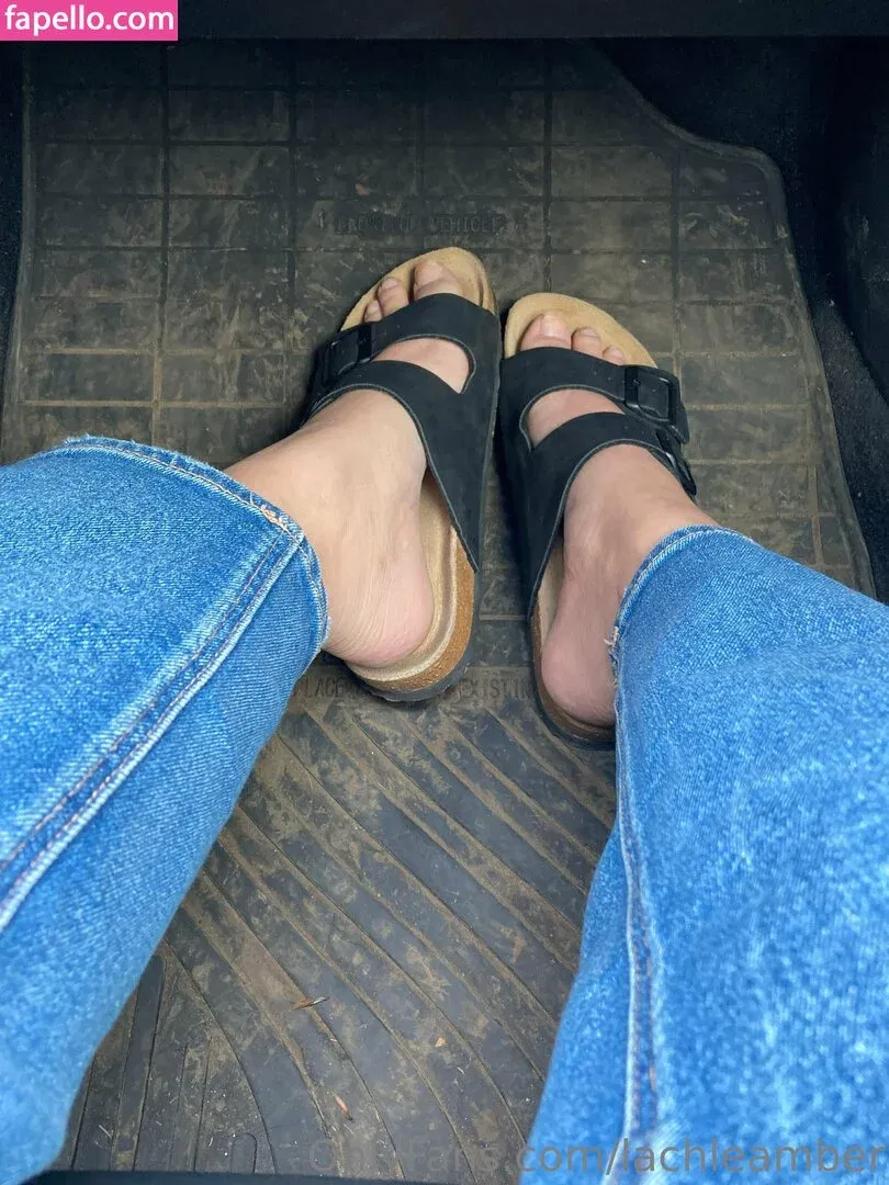 lachleamber Onlyfans Photo Gallery 