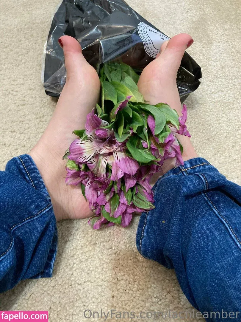 lachleamber Onlyfans Photo Gallery 