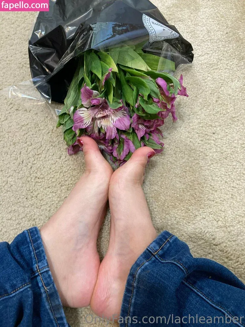 lachleamber Onlyfans Photo Gallery 