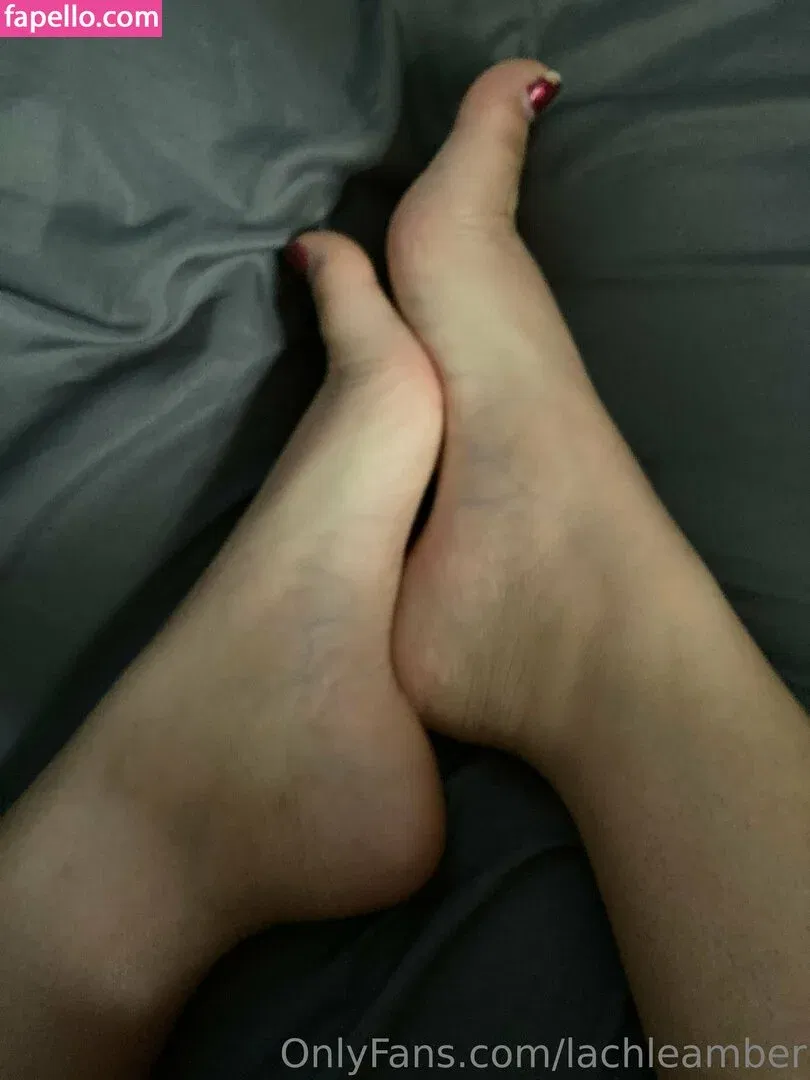 lachleamber Onlyfans Photo Gallery 