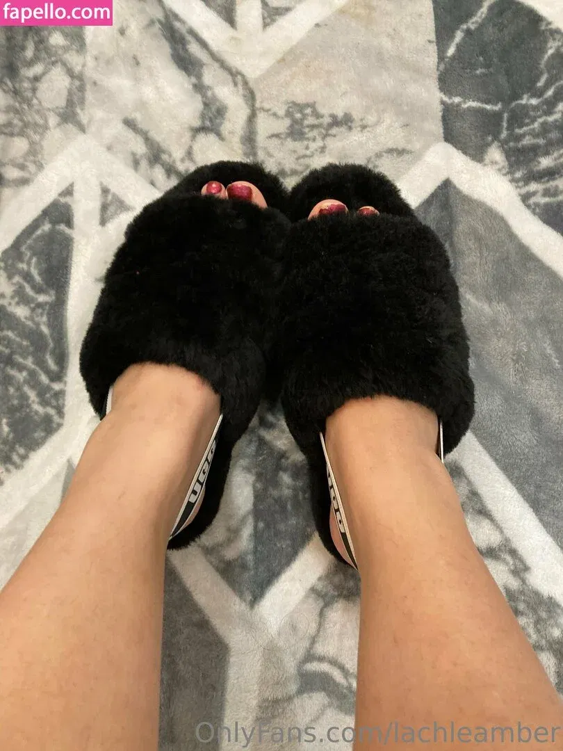 lachleamber Onlyfans Photo Gallery 