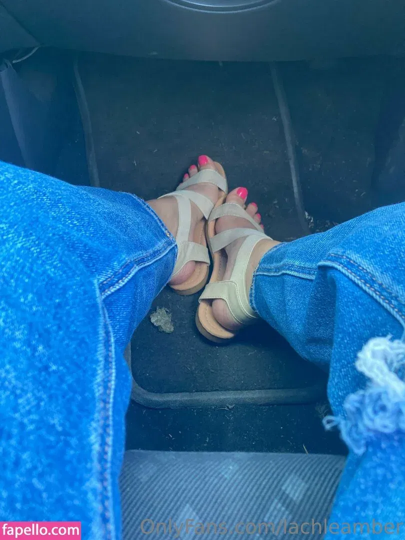 lachleamber Onlyfans Photo Gallery 