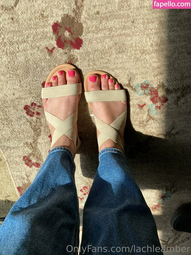 lachleamber Onlyfans Photo Gallery 