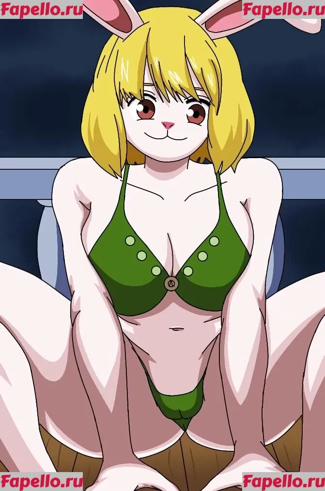 One Piece Onlyfans Photo Gallery 