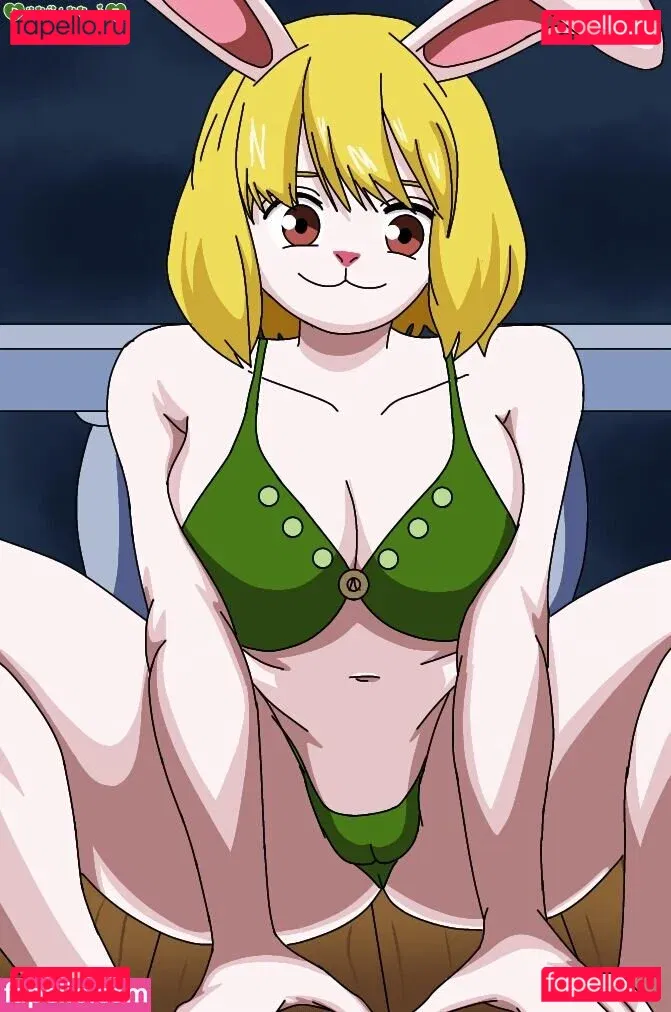 One Piece Onlyfans Photo Gallery 