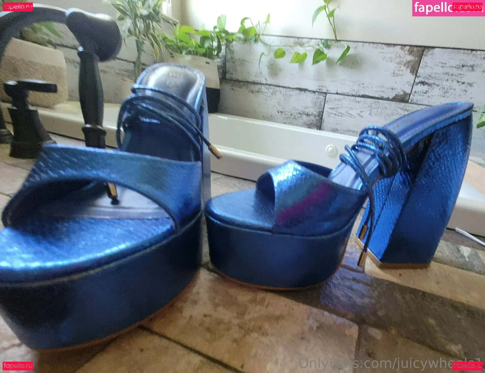 juicywheels1 Onlyfans Photo Gallery 