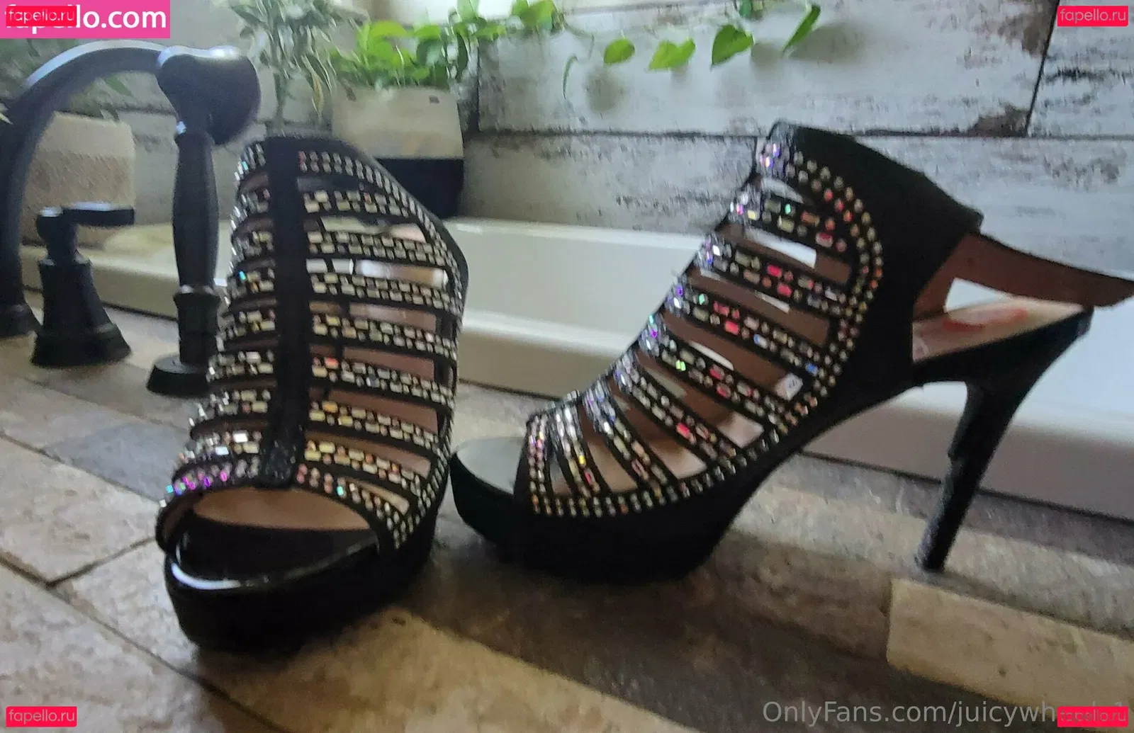 juicywheels1 Onlyfans Photo Gallery 