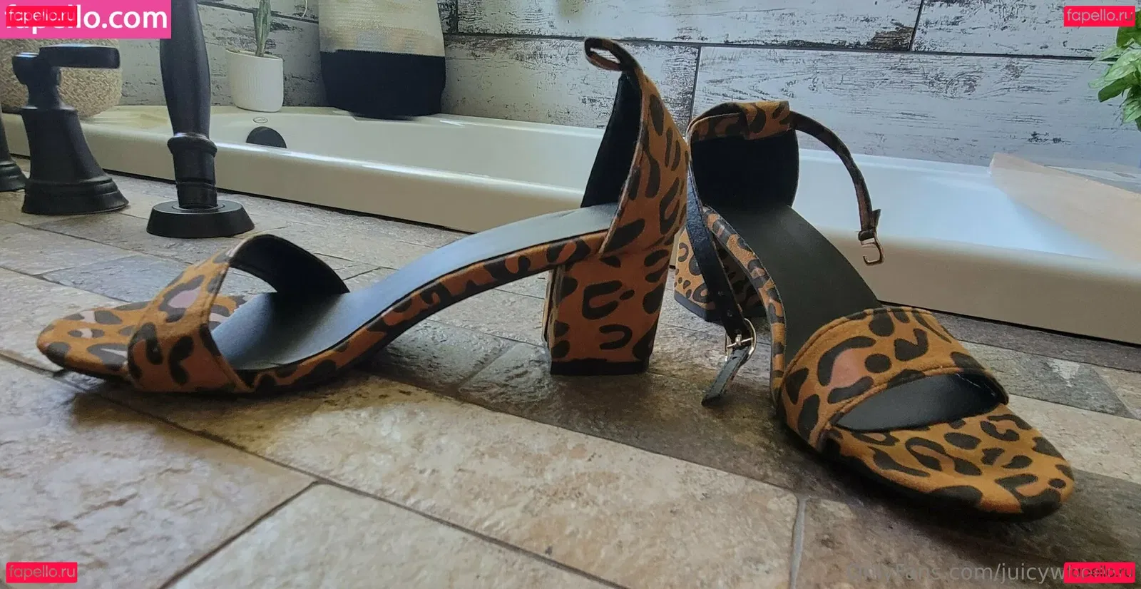 juicywheels1 Onlyfans Photo Gallery 